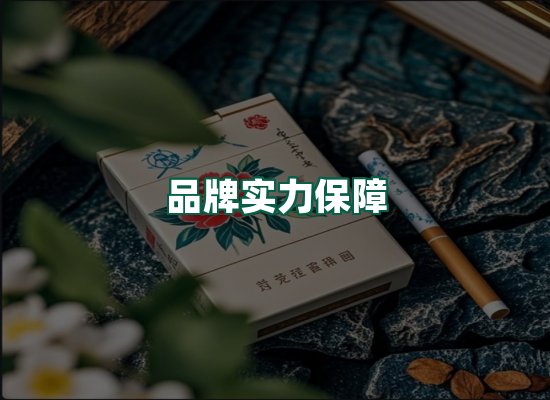 核心优势